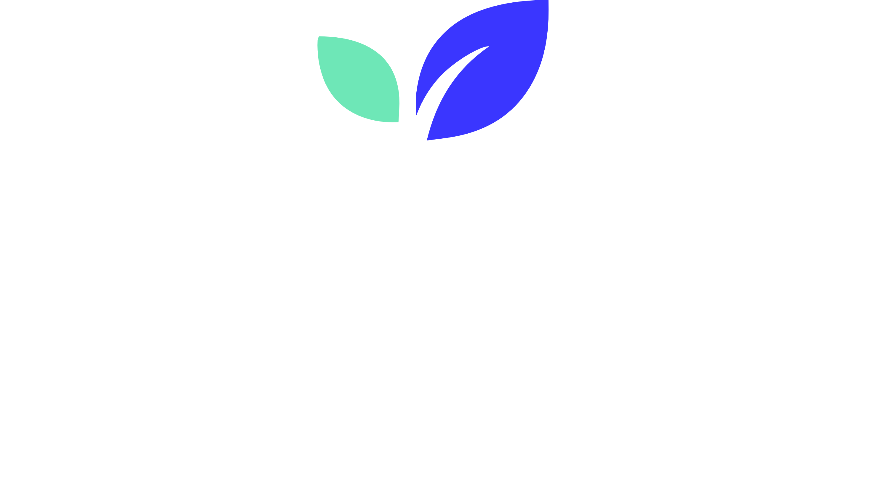 Slugs